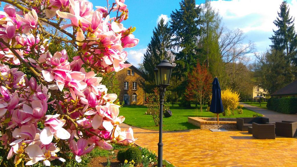 Menschels Vitalresort Meddersheim Экстерьер фото